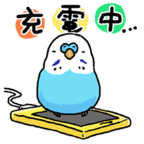 piko the budgerigar sticker #6381395