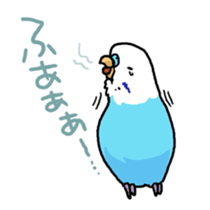 piko the budgerigar sticker #6381398