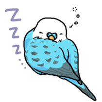 piko the budgerigar sticker #6381399