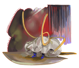 Dream Comes True sticker #6381689