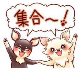 SHIROCHIWACHAN&KUROCHIWACHAN sticker #6382875