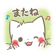 mild-fluffy-White cat