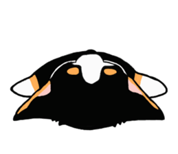 Barney'sGensan sticker #6386196