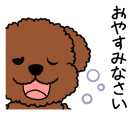 Mogu and Marco of toy poodles(Honorific) sticker #6388883
