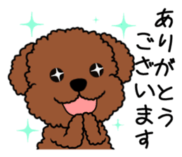 Mogu and Marco of toy poodles(Honorific) sticker #6388896