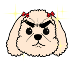 Mogu and Marco of toy poodles(Honorific) sticker #6388903