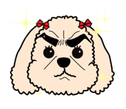 Mogu and Marco of toy poodles(Honorific) sticker #6388903