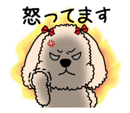 Mogu and Marco of toy poodles(Honorific) sticker #6388913