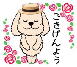 Mogu and Marco of toy poodles(Honorific) sticker #6388918