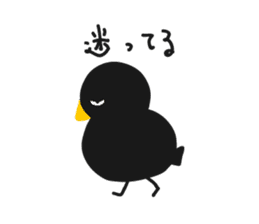 black bird hiyoko sticker #6390362
