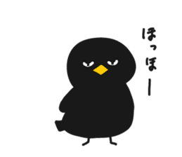 black bird hiyoko sticker #6390364