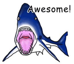 Musashi drew pictures-English sticker #6390921