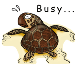 Musashi drew pictures-English sticker #6390922