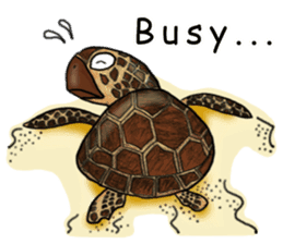 Musashi drew pictures-English sticker #6390922