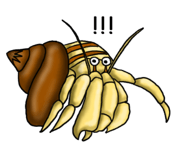 Musashi drew pictures-English sticker #6390924