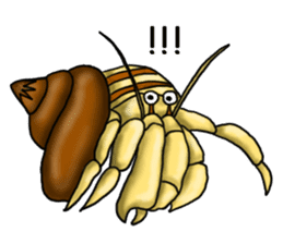 Musashi drew pictures-English sticker #6390924