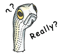 Musashi drew pictures-English sticker #6390928