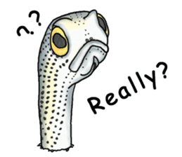 Musashi drew pictures-English sticker #6390928