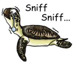 Musashi drew pictures-English sticker #6390929