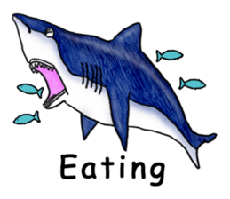 Musashi drew pictures-English sticker #6390933