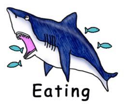 Musashi drew pictures-English sticker #6390933