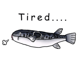 Musashi drew pictures-English sticker #6390934