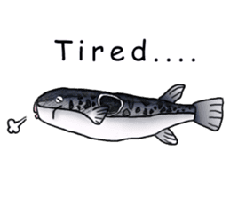 Musashi drew pictures-English sticker #6390934