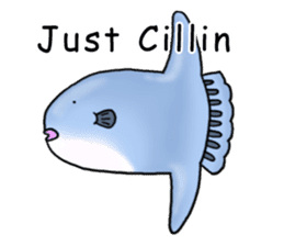 Musashi drew pictures-English sticker #6390951