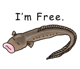 Musashi drew pictures-English sticker #6390953