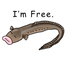 Musashi drew pictures-English sticker #6390953