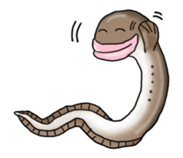 Musashi drew pictures-English sticker #6390954