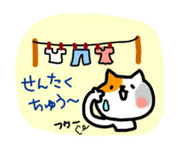 daily conversation of cat(summer ver.) sticker #6391162