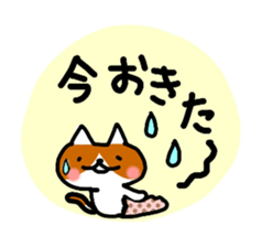 daily conversation of cat(summer ver.) sticker #6391164