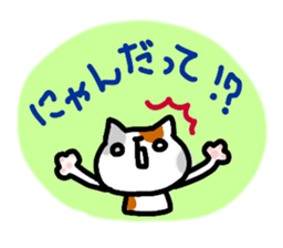 daily conversation of cat(summer ver.) sticker #6391170