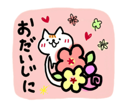 daily conversation of cat(summer ver.) sticker #6391175