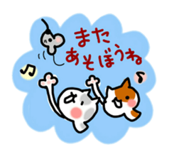 daily conversation of cat(summer ver.) sticker #6391182