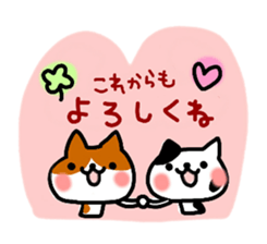 daily conversation of cat(summer ver.) sticker #6391183