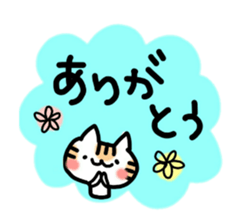 daily conversation of cat(summer ver.) sticker #6391186
