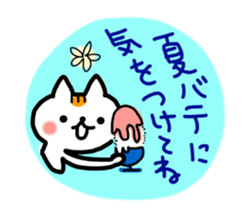 daily conversation of cat(summer ver.) sticker #6391190
