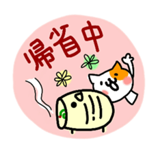 daily conversation of cat(summer ver.) sticker #6391193