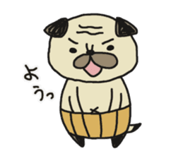 Pug of father and son sticker #6391640