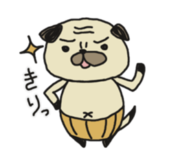 Pug of father and son sticker #6391641