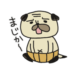 Pug of father and son sticker #6391666