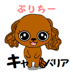 pretty Cavalier sticker2