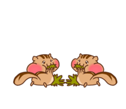 so cute squirrel sticker part2 sticker #6394028