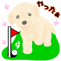 Puppy. Golden Retriever. sticker #6398807