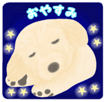 Puppy. Golden Retriever. sticker #6398809