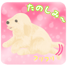 Puppy. Golden Retriever. sticker #6398817