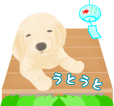 Puppy. Golden Retriever. sticker #6398821