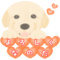 Puppy. Golden Retriever. sticker #6398837